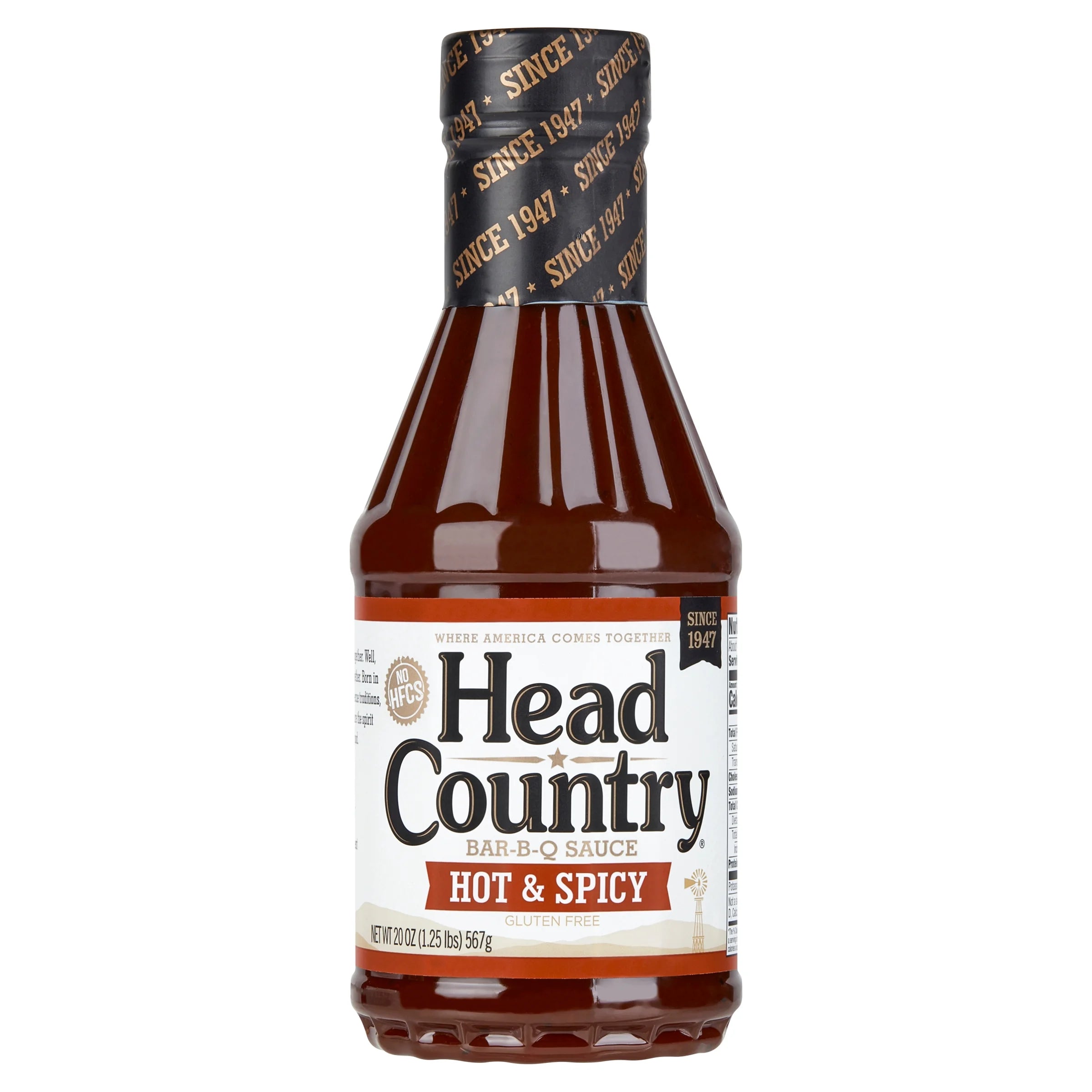 Hot & Spicy BBQ Sauce, Gluten-Free with No Preservatives, 20 Ounces
