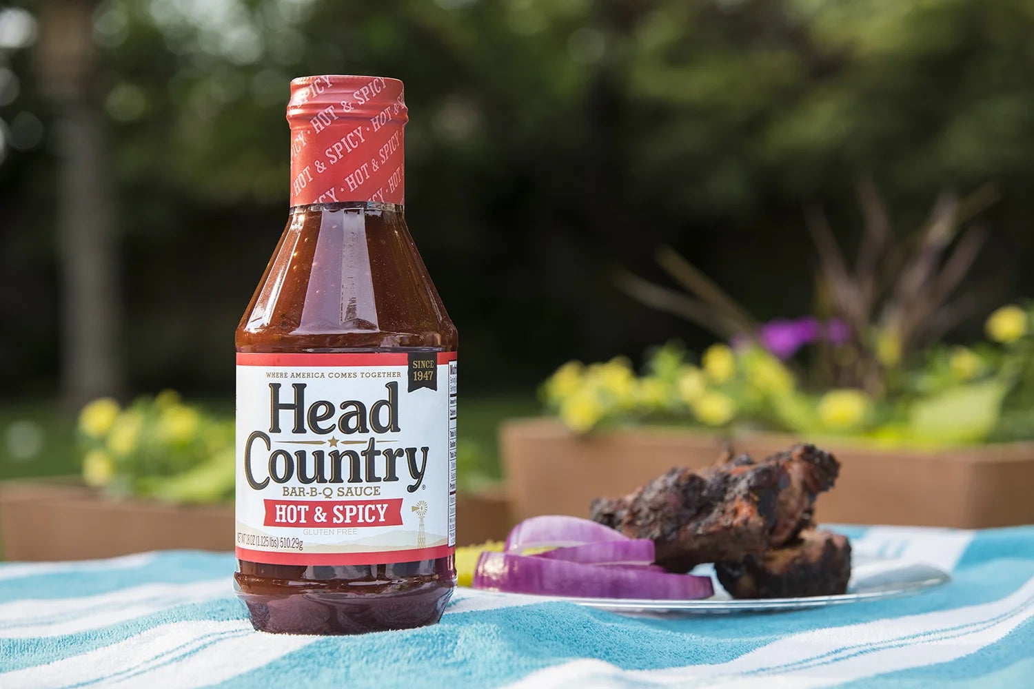 Hot & Spicy BBQ Sauce, Gluten-Free with No Preservatives, 20 Ounces