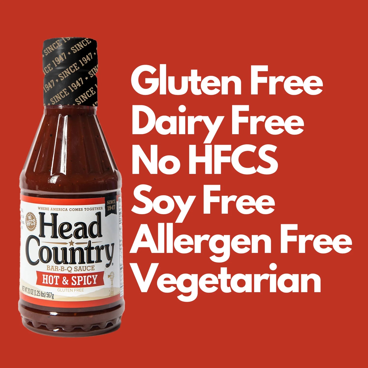 Hot & Spicy BBQ Sauce, Gluten-Free with No Preservatives, 20 Ounces